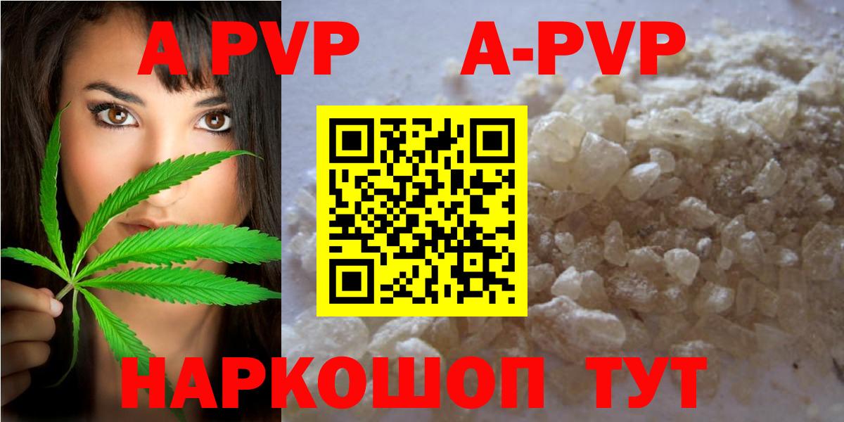 A PVP СК Шебекино