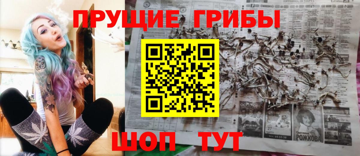Псилоцибиновые грибы прущие грибы  Вход с VPN  Шебекино 